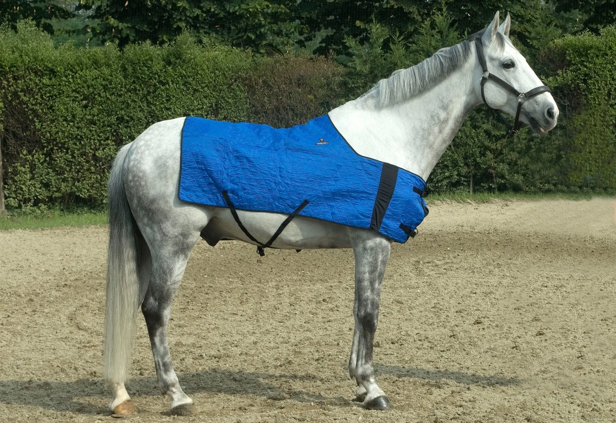 HyperKewl Horse Cooling Blanket, Small/Medium