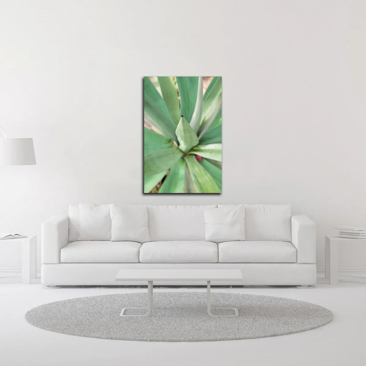 "Agave Succulent #2" Wrapped Canvas Print Wall Art